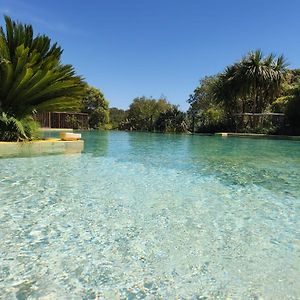 Villa - Domaine A Grans Grande Demeure 6 A 12Pers